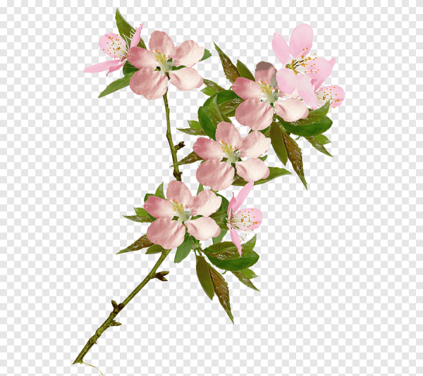 Веточка цветов