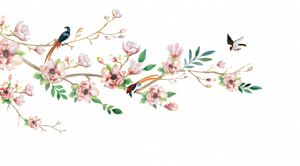 Веточка цветов на прозрачном фоне