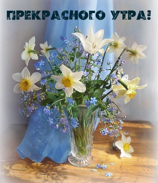 Хризантемы с пожеланиями