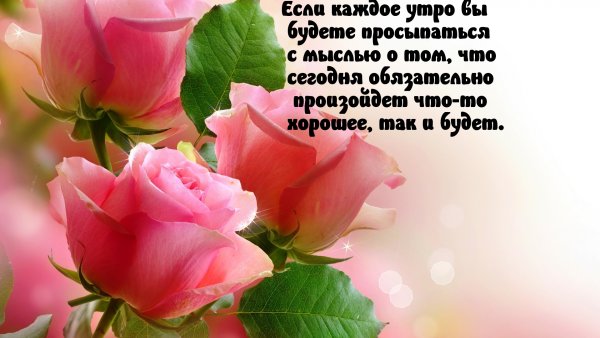 С добрым утром с орхидеями