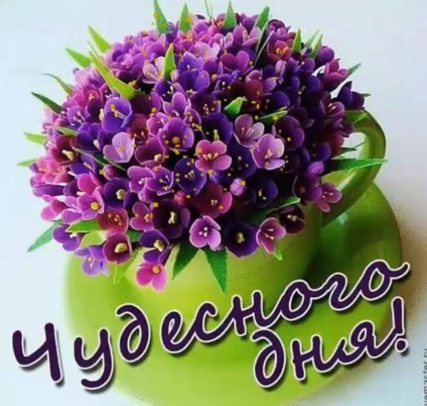 Доброе утро незабудки