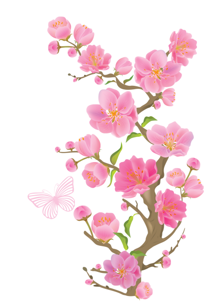 Черри блоссом Gyu