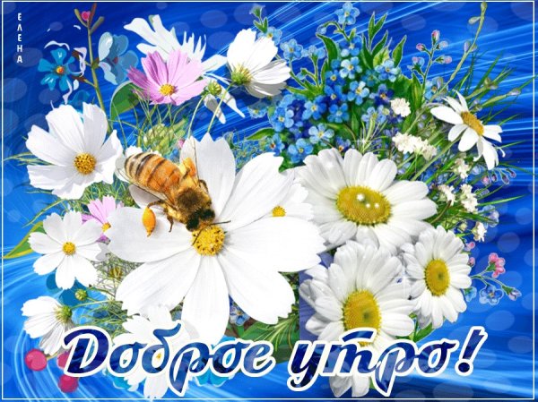 Доброе утро среда