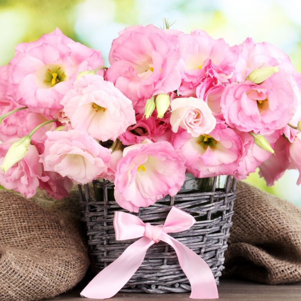 Букет ромашек