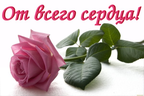 Благодарность цветы