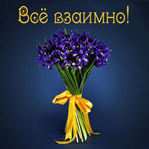 Доброе утро с ирисами