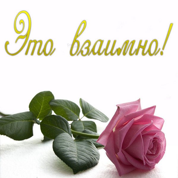 Спасибо взаимно