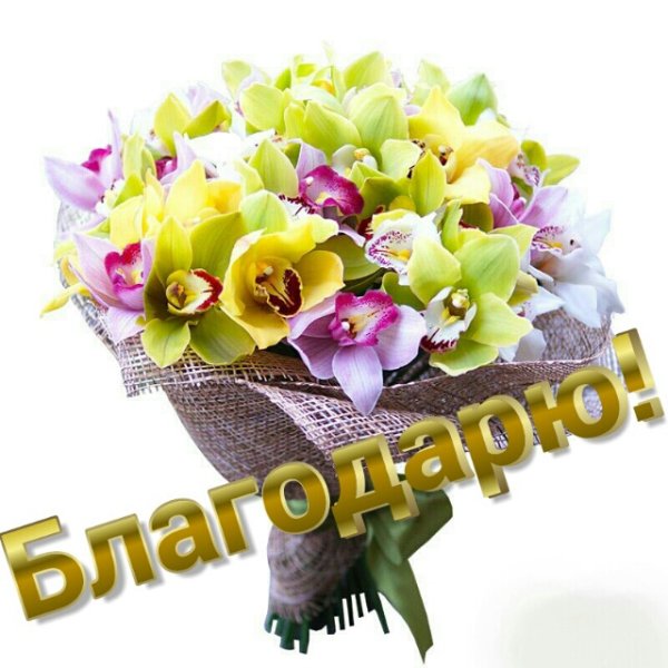 Романтические цветы