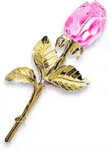 Прошу прощения цветы