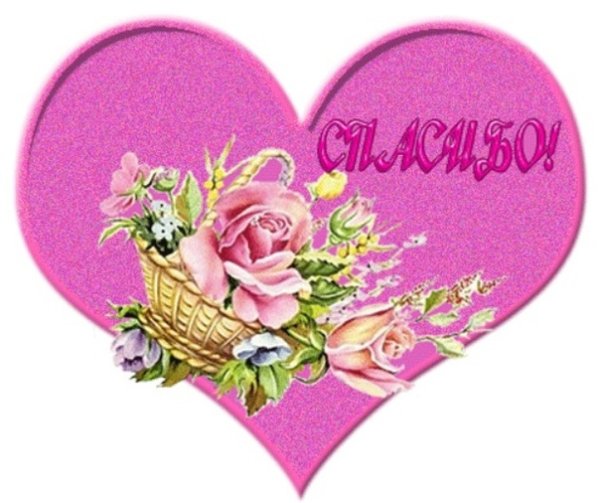 Дорогие розы