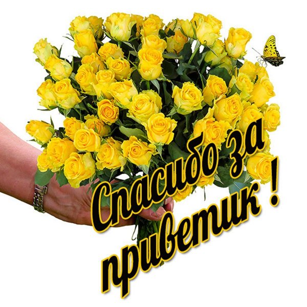 Пожалуйста открытки благодарности