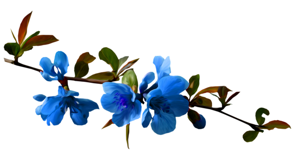 Веточка с цветами