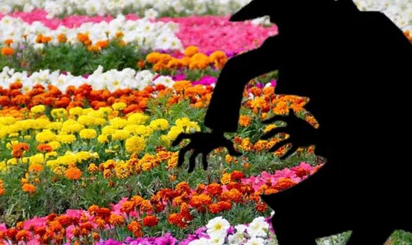 Кража цветов с клумбы