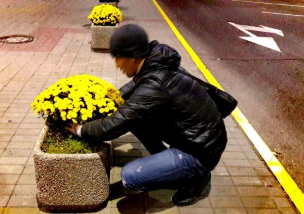 Кража цветов с клумбы