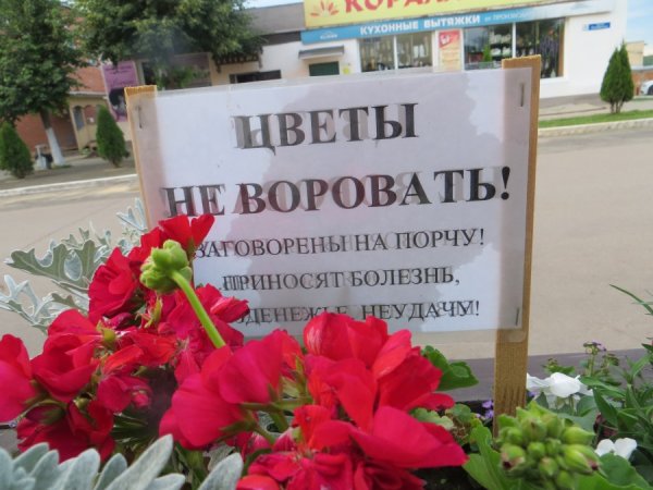 Цветы не воровать табличка