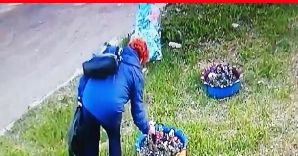 Кража цветов с клумбы