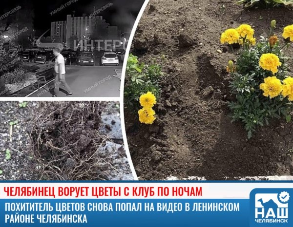 Цветы не воровать табличка