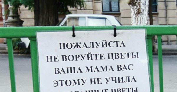 Прикольные надписи про цветы