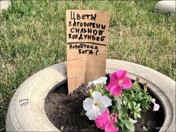 Табличка цветник