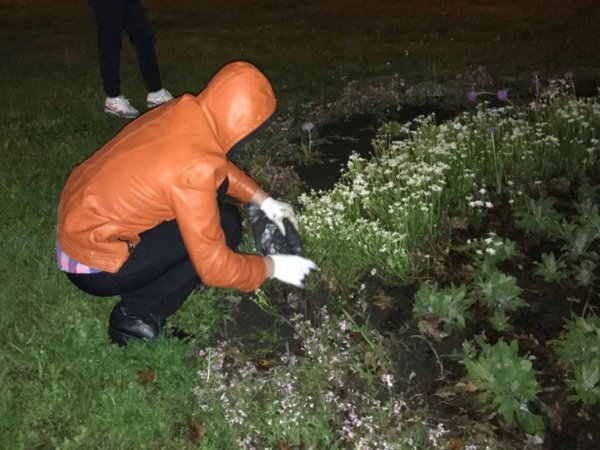 Объявление не воруйте цветы