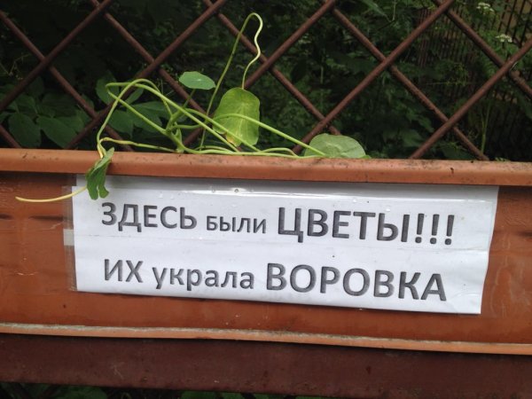 Цветы карикатура