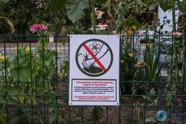 Женщина в клумбе