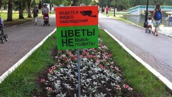 Воруют цветы в подъезде объявление