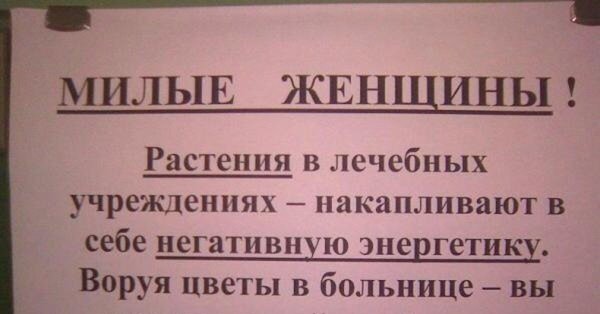 Вор романтик