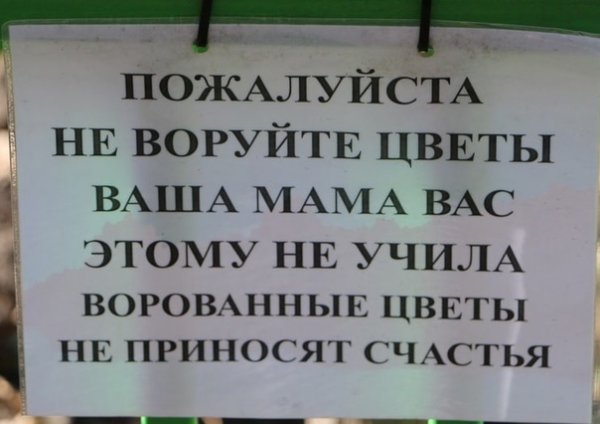 Объявление чтобы не рвали цветы
