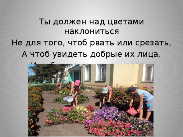 Надписи для дачи от воров