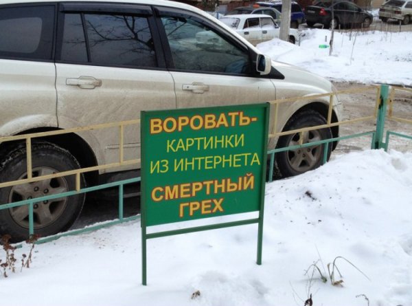 Цветы на подоконнике в подъезде