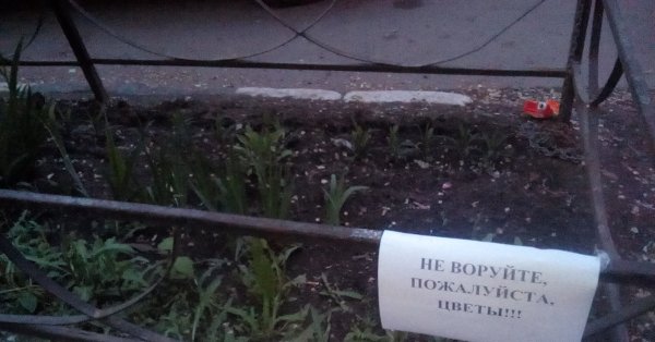 Смешные надписи для дачи