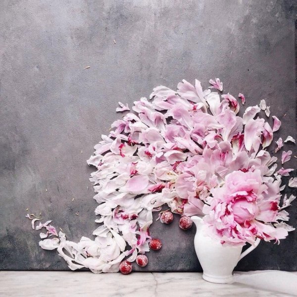 Джек Лонг фотограф Милуоки цветы