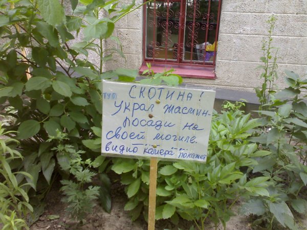 Таблички на клумбах для воров