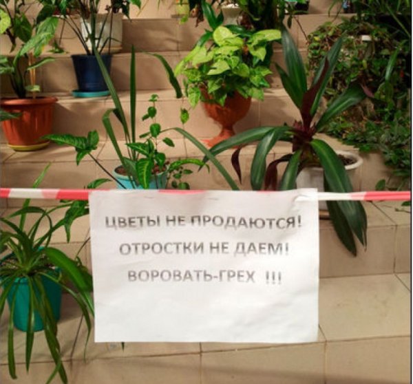 Табличка для клумбы