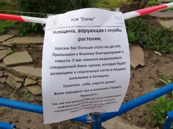 Объявления на клумбах