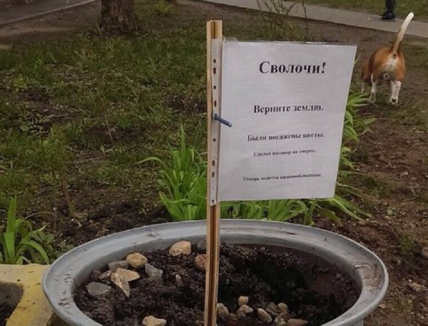 Букет Котоматрица