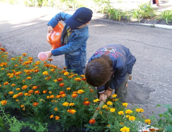 Знак не срывать цветы
