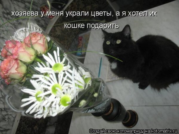 Воруют цветы с клумбы