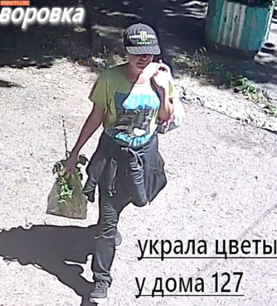 Знак клумба