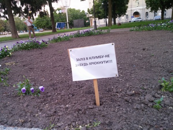 Мужик на клумбе