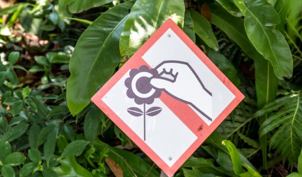 Объявление для воров на даче