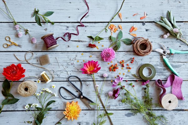 Природа Вдохновение