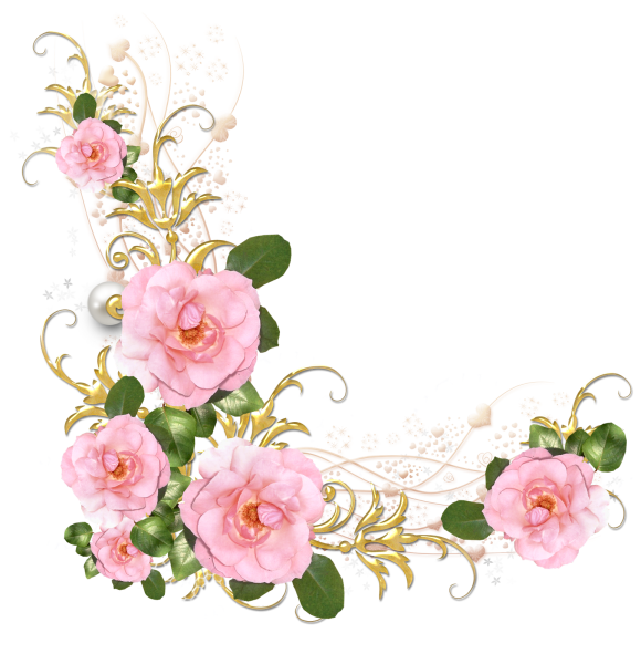 Цветы на прозрачном фоне