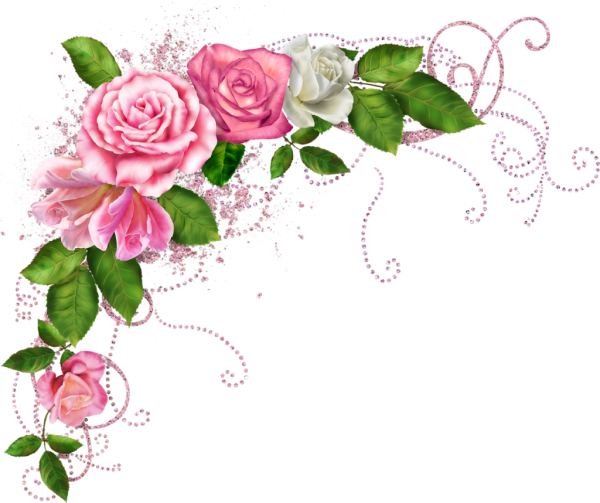 Угловые цветы розовые