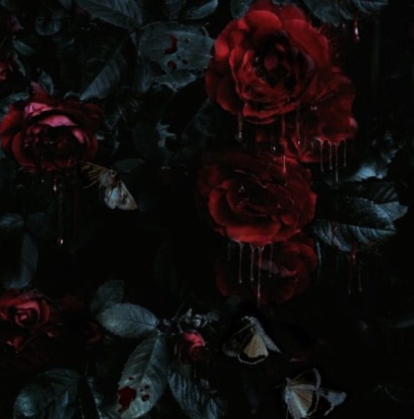 Эстетика красного и черного цвета