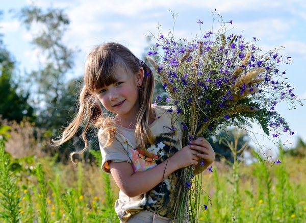 Маленькая девочка на лугу