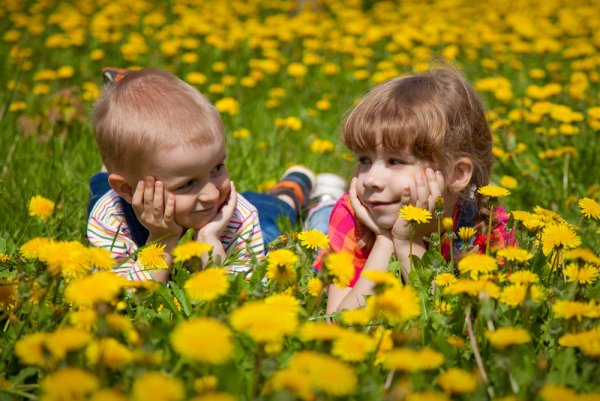 Девочка с одуванчиком