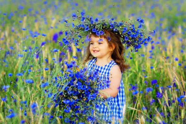 Картины Дональда Золана беззаботное детство