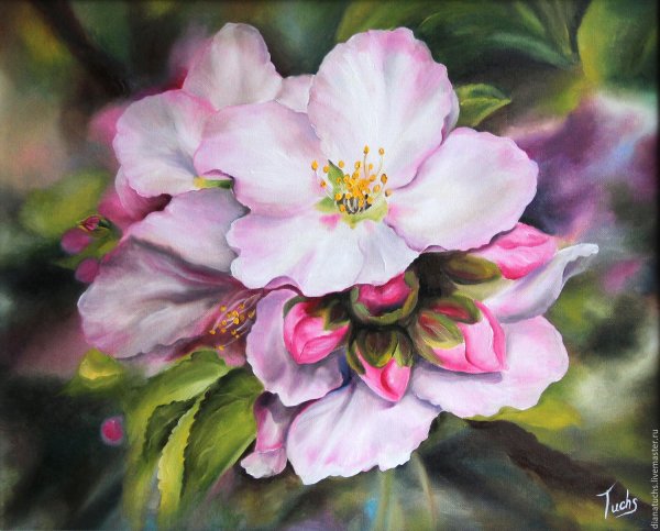 Влюбленные с ромашками